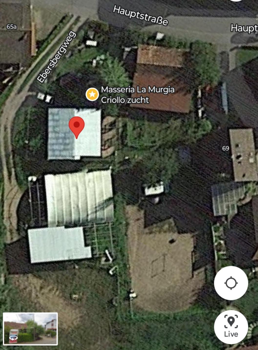 Wildcamp Masseria La Murgia In Einem Wohnwagen Campsite Rimbach (Hessen)