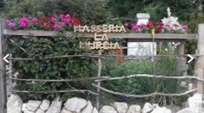 Wildcamp Masseria La Murgia In Einem Wohnwagen Campsite Rimbach (Hessen)